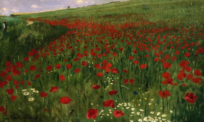 The Poppy Field, 1896 by Pál Szinyei Merse